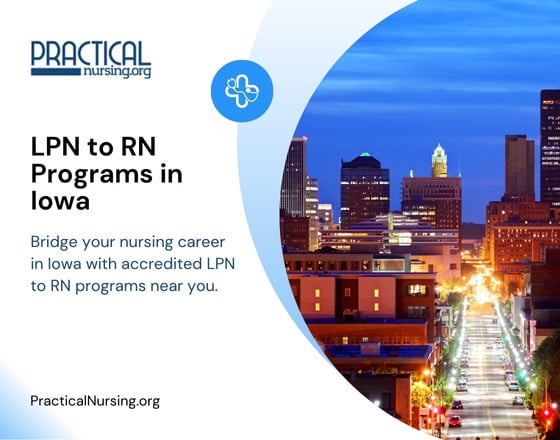 Iowa bridge programs explanation