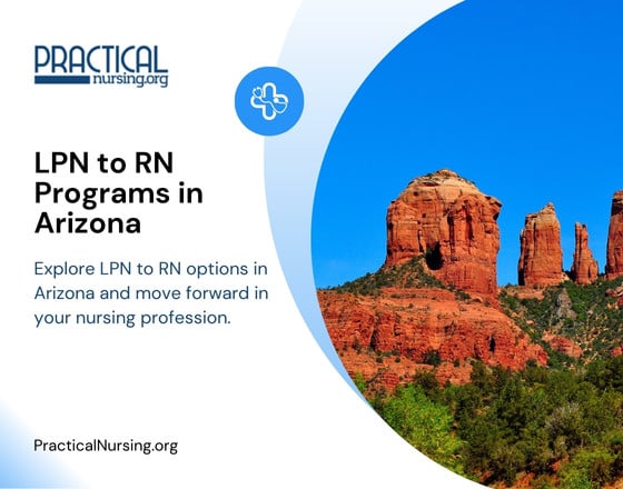 Arizona bridge programs