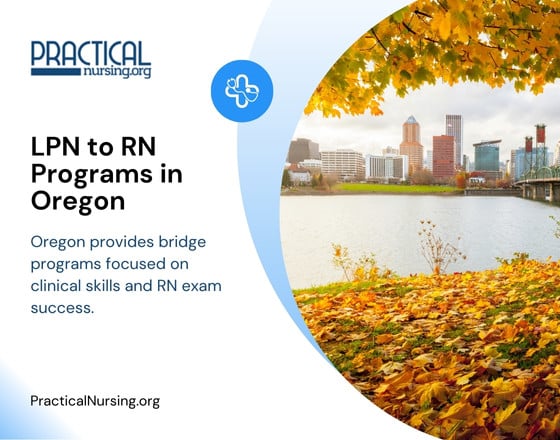 Oregon provides bridge programs focused on clinical skills and RN exam success.