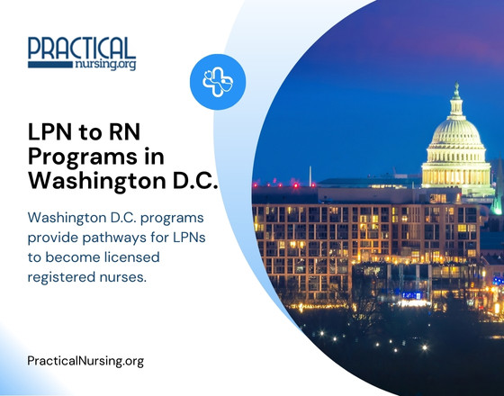 Washington D.C. programs provide pathways for LPNs to become licensed registered nurses.