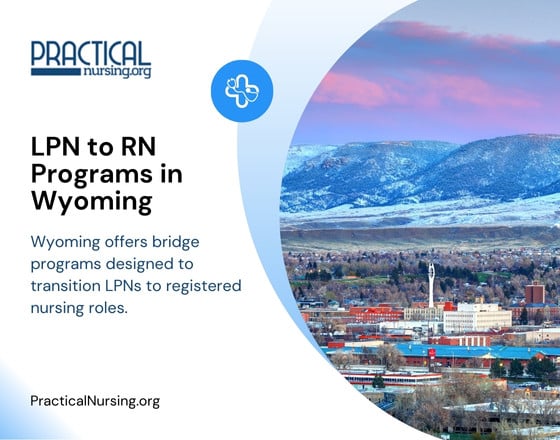 Wyoming offers bridge programs designed to transition LPNs to registered nursing roles.