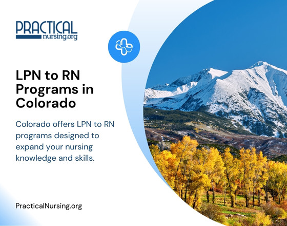 Colorado lpn to rn bridge programs