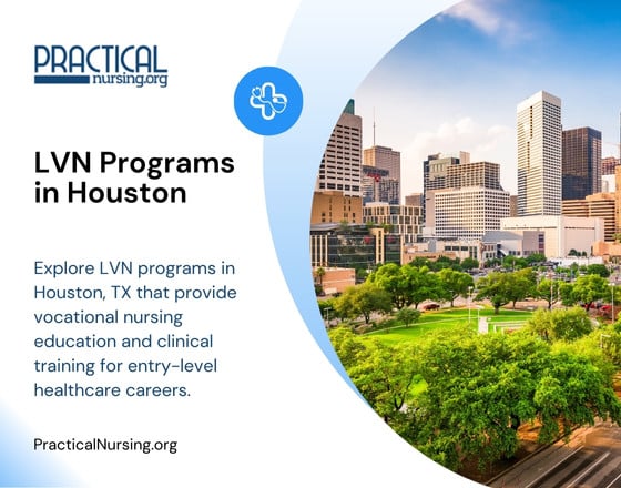 Houston Texas LVN programs offering vocational nursing education and hands-on clinical experience for entry-level nursing roles