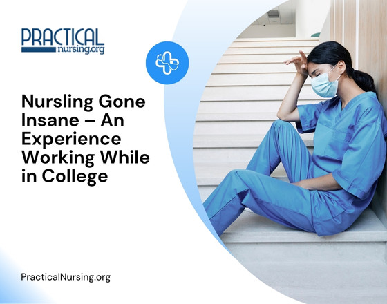 Nursling Gone Insane – An Experience Working While in College
