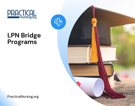 LPN Bridge Programs