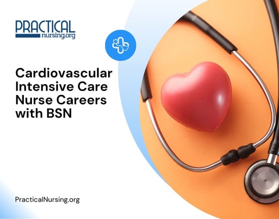 Cardiovascular Intensive Care