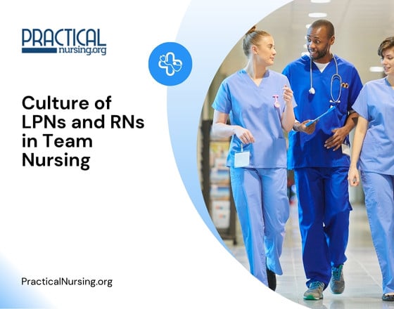 Culture of LPNs and RNs in Team Nursing
