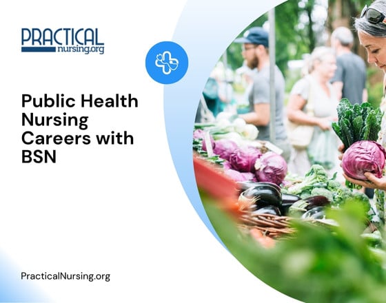 Public Health Nursing Careers with BSN