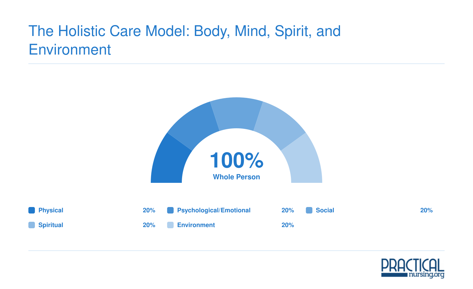 Five equal dimensions of holistic nursing care: physical, psychological/emotional, social, spiritual, and environment, each representing 20% of whole-person care