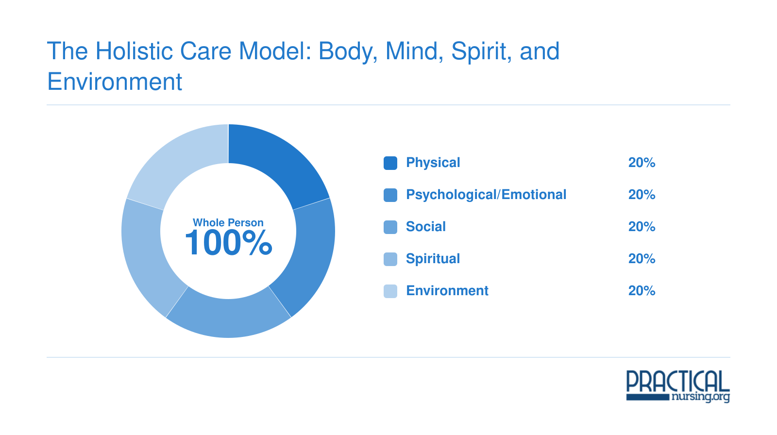 Five equal dimensions of holistic nursing care: physical, psychological/emotional, social, spiritual, and environment, each representing 20% of whole-person care
